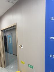 -碧莲盛不剃发植发