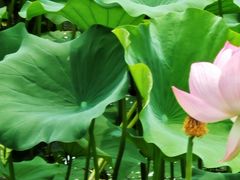 -皇家御河游(紫御湾码头)