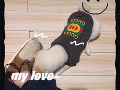 -萌宠之家·腊肠犬·马尔泰·小体犬舍