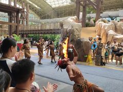 -杭州开元森泊度假乐园