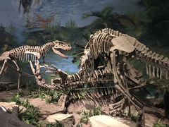 -自贡恐龙博物馆