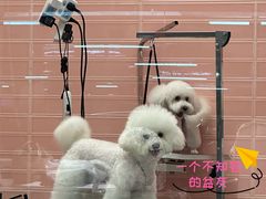 -FAELING PETS美天灵宠物(合生汇店)