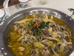 -陈三娃泡姜鸡