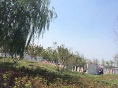 -武清南湖绿博园