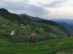 -紫鹊界梯田景区