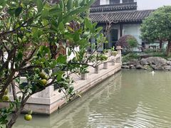 -碧丽宫大酒店(召稼楼店)