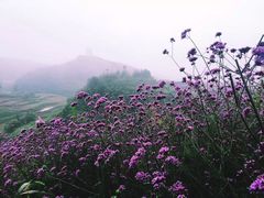 -娄山关景区