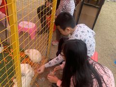 -美丽南方·老木棉匠园·团建烧烤·烤全羊