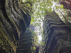 -梭布垭石林景区