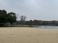 -上海佘山世茂艾美酒店