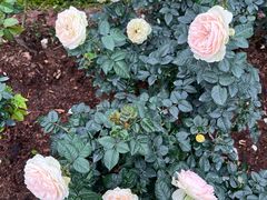 -人民公园(罗湖区)