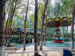 -长白岛森林公园