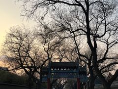 -雍和宫