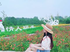 -东郊湿地公园