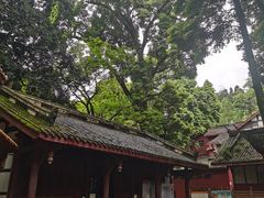 -凤栖山