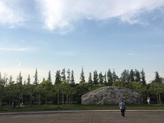 -上海海湾国家森林公园