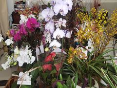 -卓花境Flowerwonderland花店