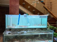 -樱之盛宴·蟹料理海鲜自助(前进大街店)