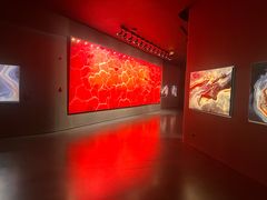 -罗红摄影艺术馆