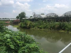 -马陆小张葡萄园农家乐