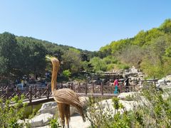 -北京西山国家森林公园