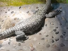 -上海大自然野生昆虫馆(东方明珠·爬宠昆虫探索中心)