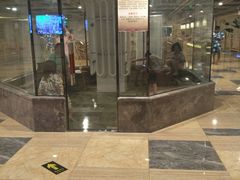 -玲珑汤泉生活会馆(花桥店)