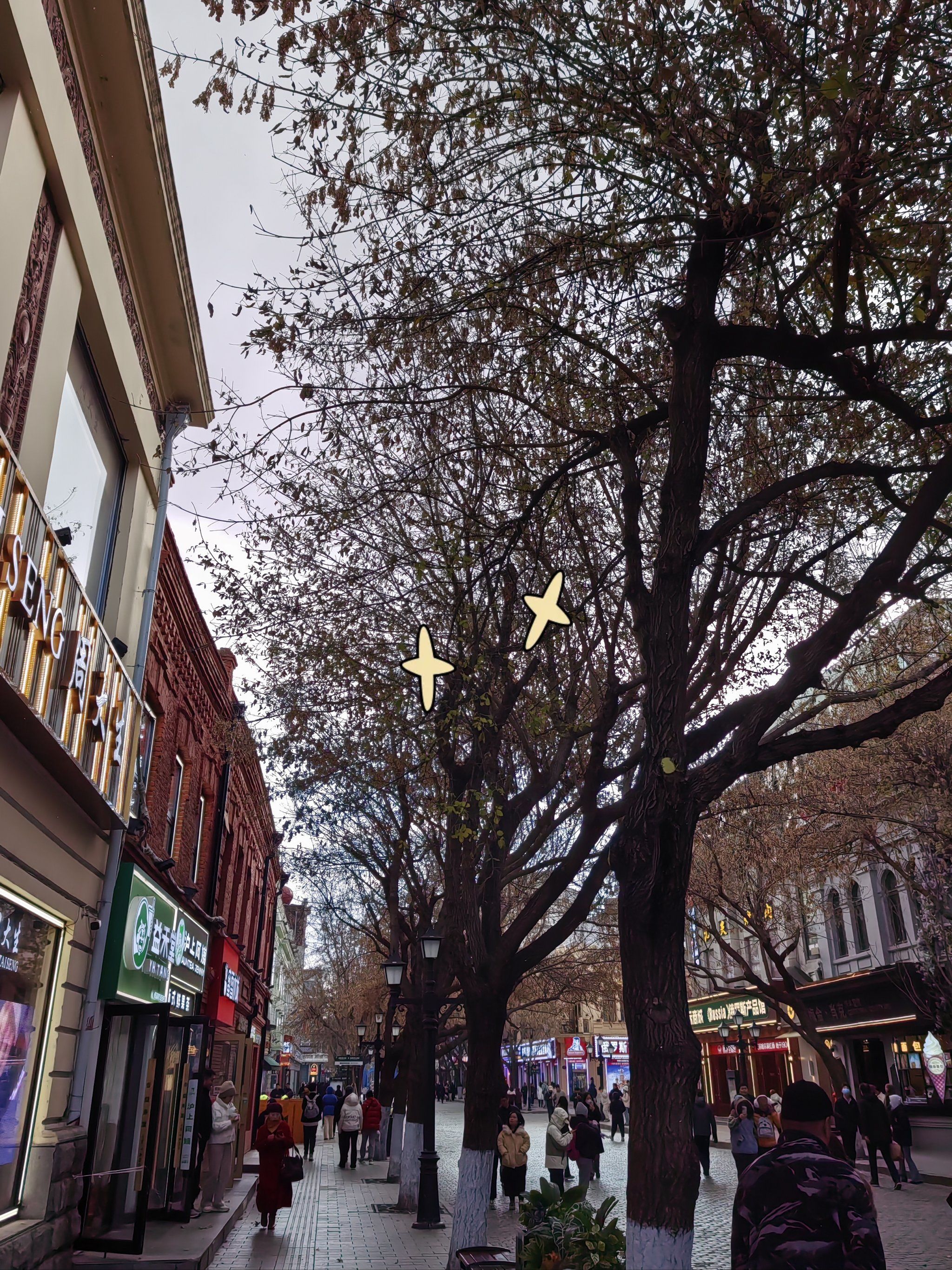 哈尔滨今年冬天的第一场雪❄️