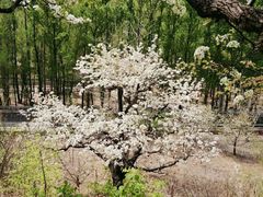 -京东石林峡风景区