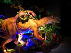 -恐龙探索乐园(磁器口店)