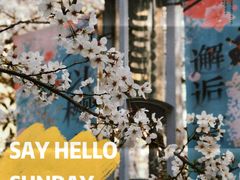 -高东镇樱花园