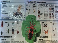 -上海大自然野生昆虫馆