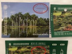 -中国科学院西双版纳热带植物园