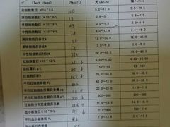 -瑞鹏宠物医院·爱宠堂·骨外专科(西荷分院)