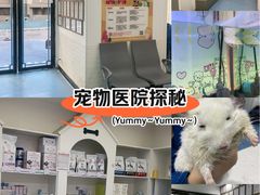 -特一安24小时宠物医院·骨科·中兽医