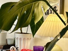 -本無咖啡·BeanWood Coffee