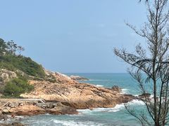-广东惠东海龟国家级自然保护区