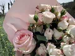 -三圣花乡旅游区