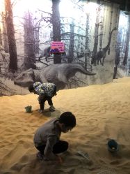 -恐龙探索乐园(磁器口店)