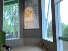 -爪吧宠物乐园 (温榆河示范区店)