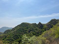 -大岭沟猕猴桃谷风景区