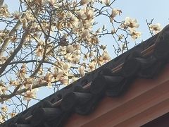 -长春观