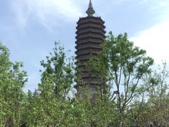 -西海子公园