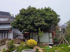 -大自然(鲁家村店)