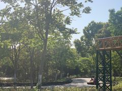 -上海海湾国家森林公园