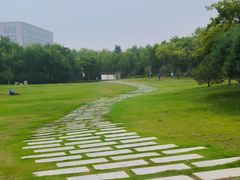 -象湖生态湿地公园