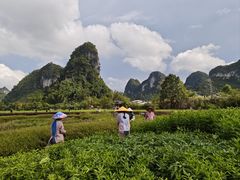 -靖西鹅泉风景区