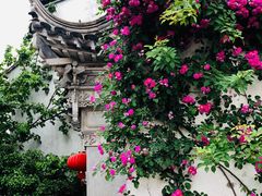 -惠山国家森林公园