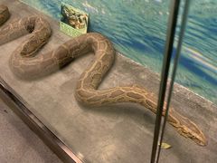 -下渚湖国家湿地公园科普馆