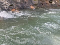 -九曲溪竹筏码头